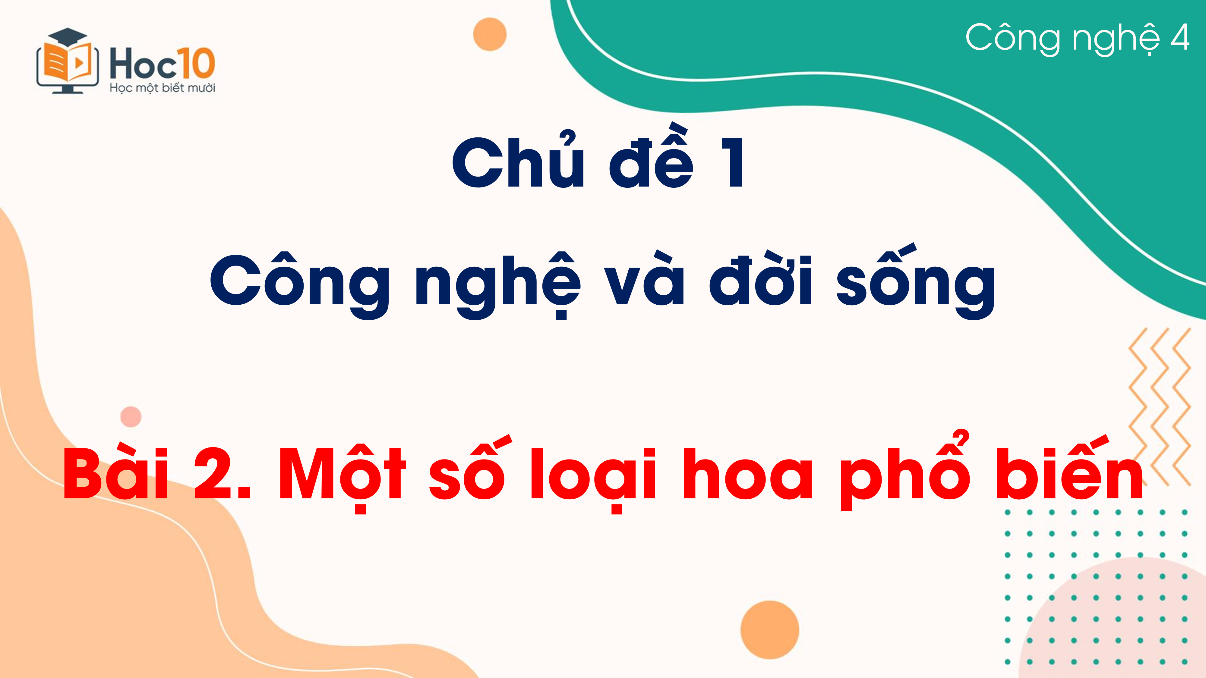 Chủ đề 1 - Bài 2 Một số loại hoa phổ biến